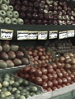Joe's Saturation & Colorize