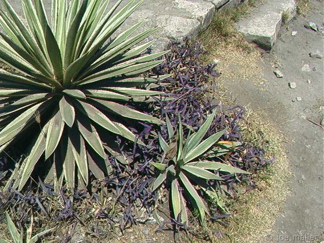 cancun-025