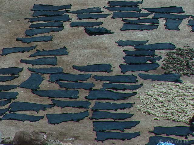 5-fes-215