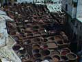 5-fes-195
