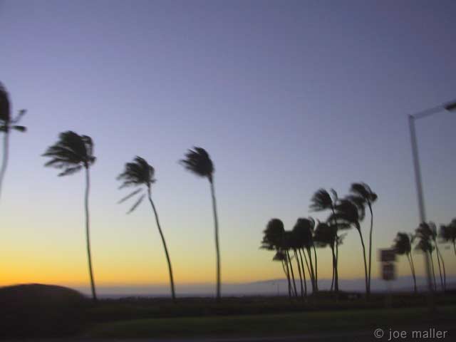 hawaii-01_2577.jpg