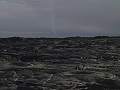 hawaii-03_2691.jpg