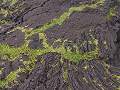 hawaii-04_2801.jpg