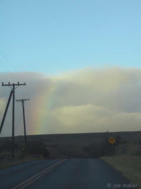 hawaii-06_2892.jpg