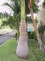 hawaii-09_2976.jpg